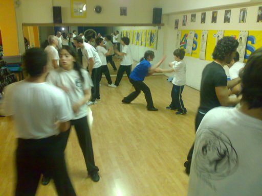 Seminario di wing chun iwka con Master Salvatore Mezzone